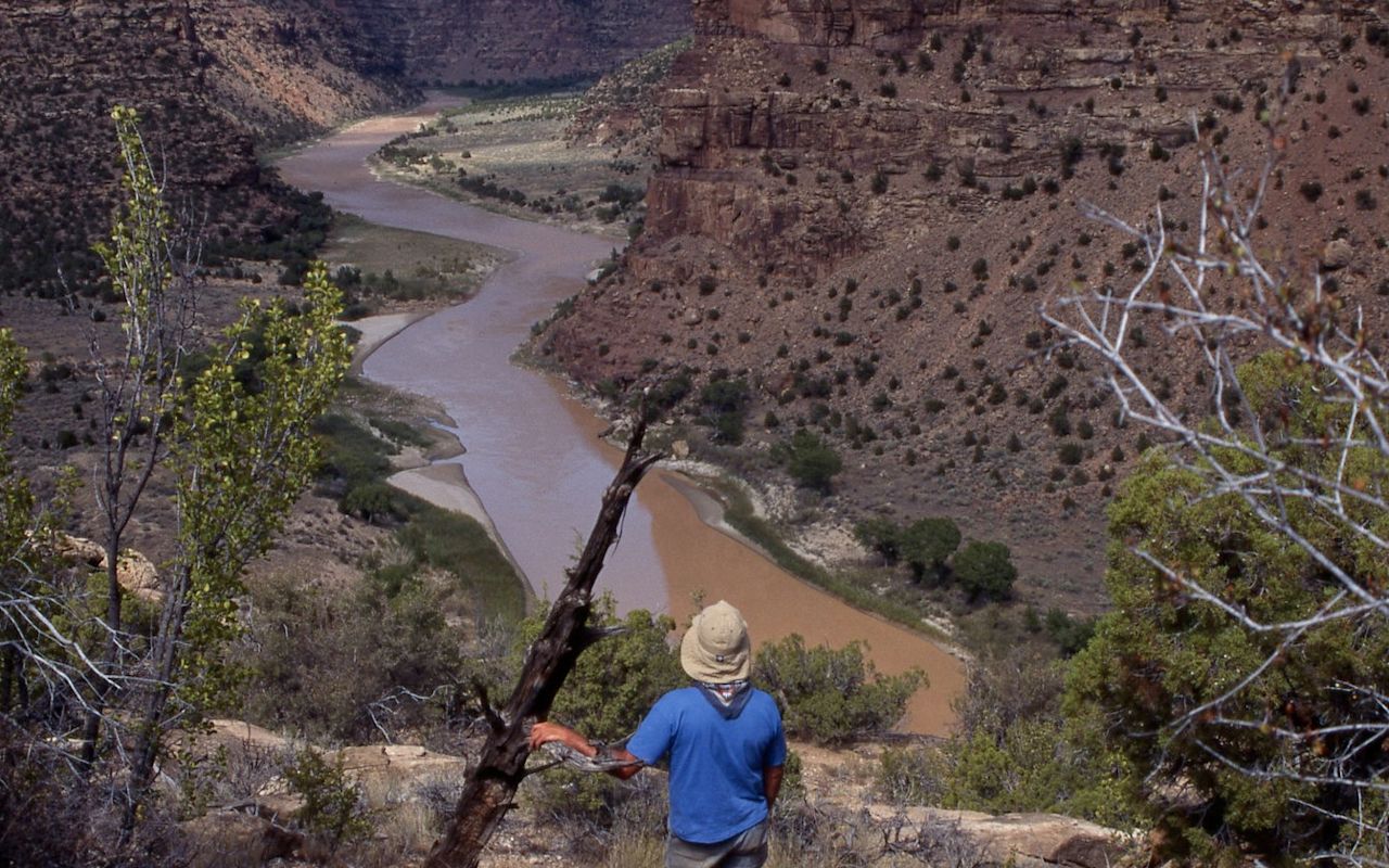 Desolation Canyon Overview - Image courtesy of BLM Utah