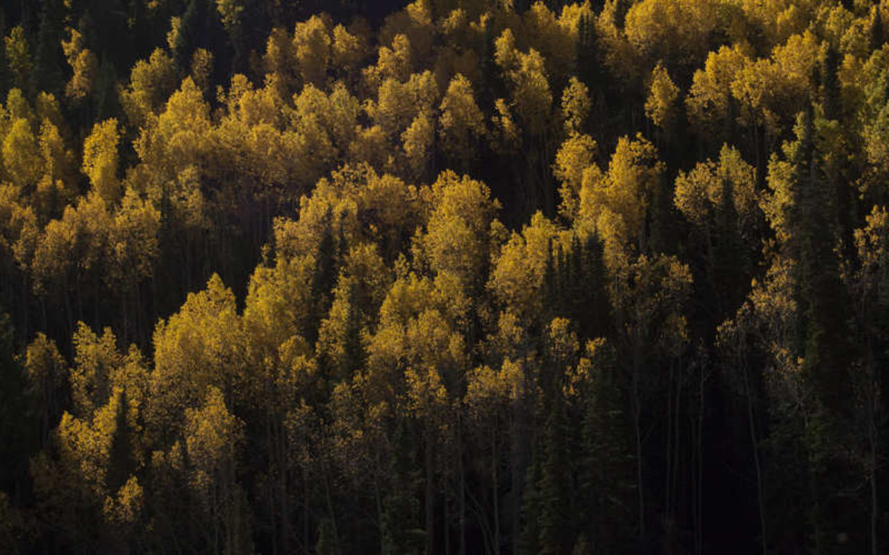 Mid-Mountain Trail | Photo Gallery | 1 - Mid-Mountain Trail