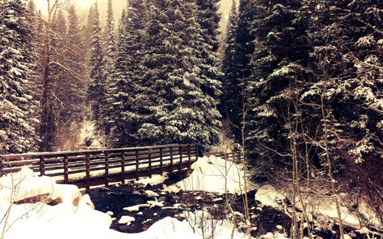 White Pine Trail | Photo Gallery | 1 - White Pine Trail