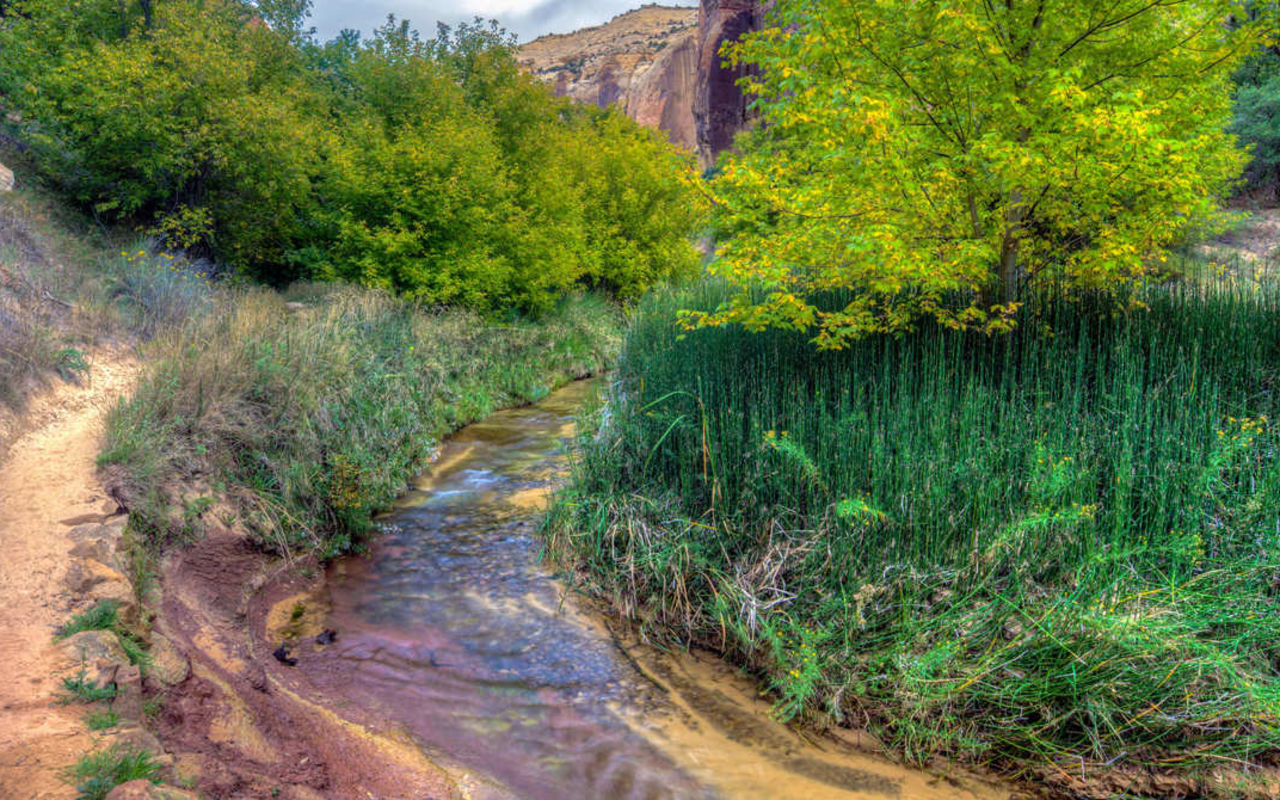 Calf Creek Falls - Lower | Photo Gallery | 1 - Calf Creek Falls
