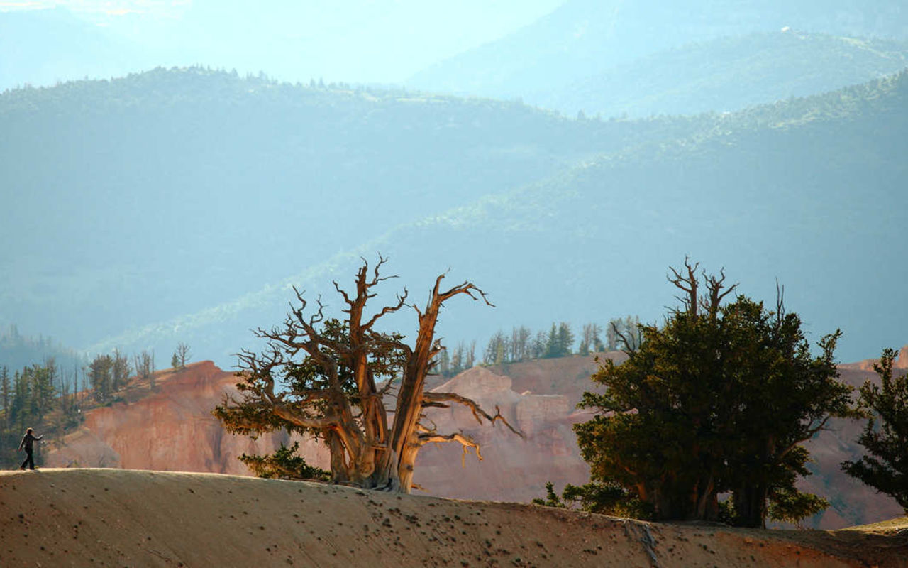 Guide to Bryce Canyon | Photo Gallery | 1 - Bryce Canyon National Park