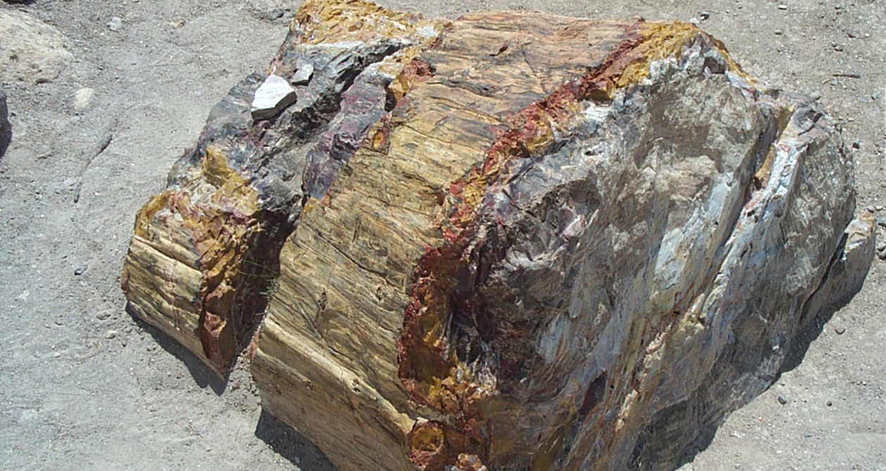 Escalante Petrified Forest | Photo Gallery | 3 - Escalante State Park