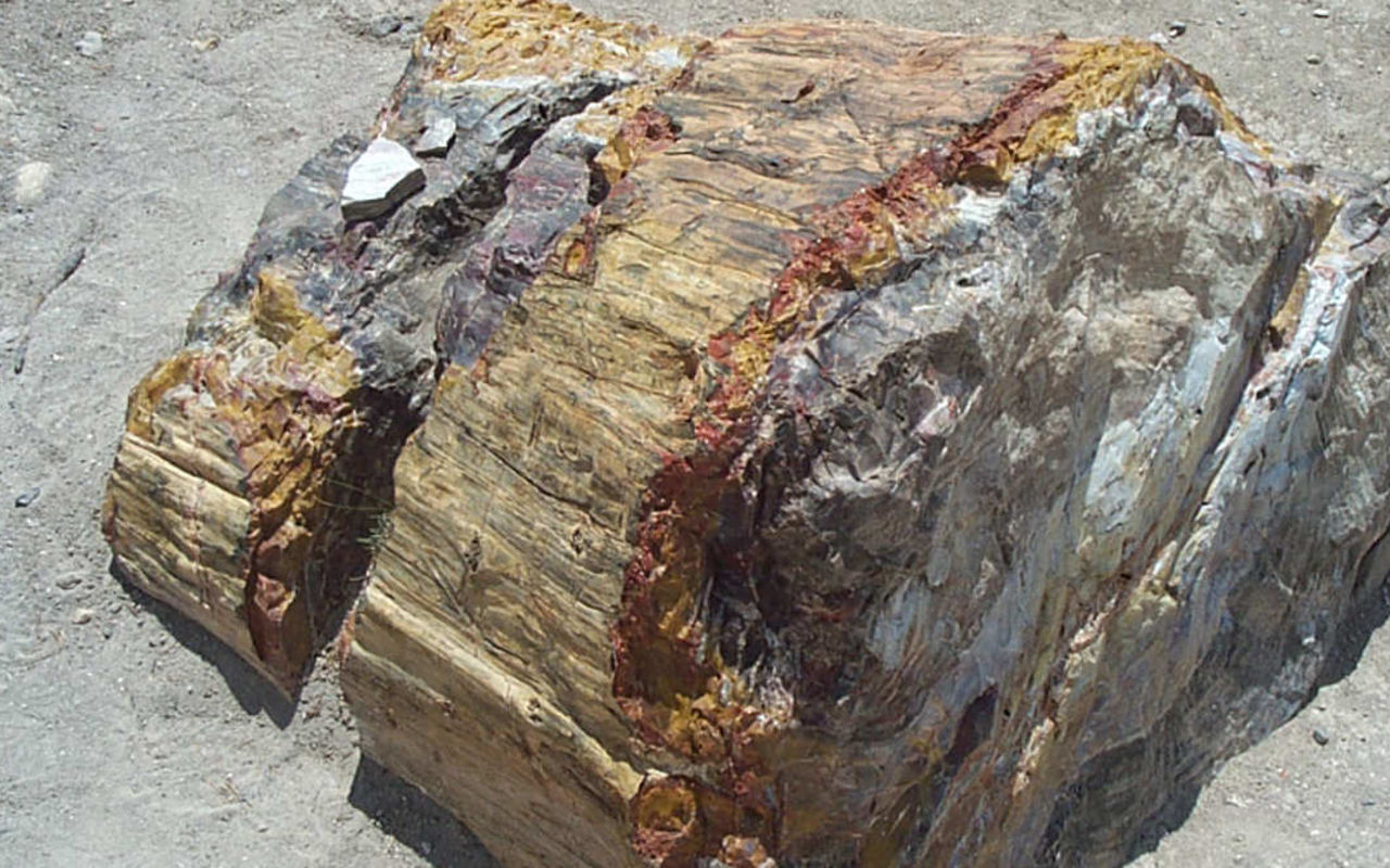 Escalante Petrified Forest | Photo Gallery | 3 - Escalante State Park