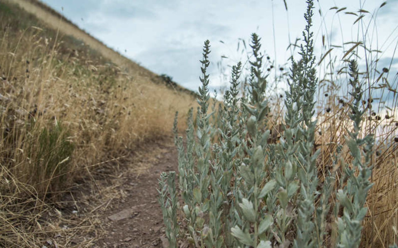 Bonneville Shoreline Trail | Photo Gallery | 0 - Bonneville Shoreline Trail
