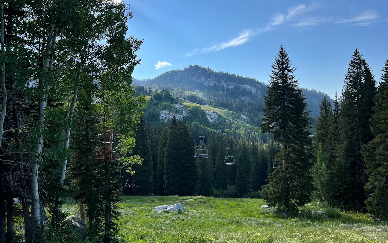 Salt Lake Canyons | Photo Gallery | 0 - Little Cottonwood Canyon Little Cottonwood Canyon. Photo credit: Carrie Cox