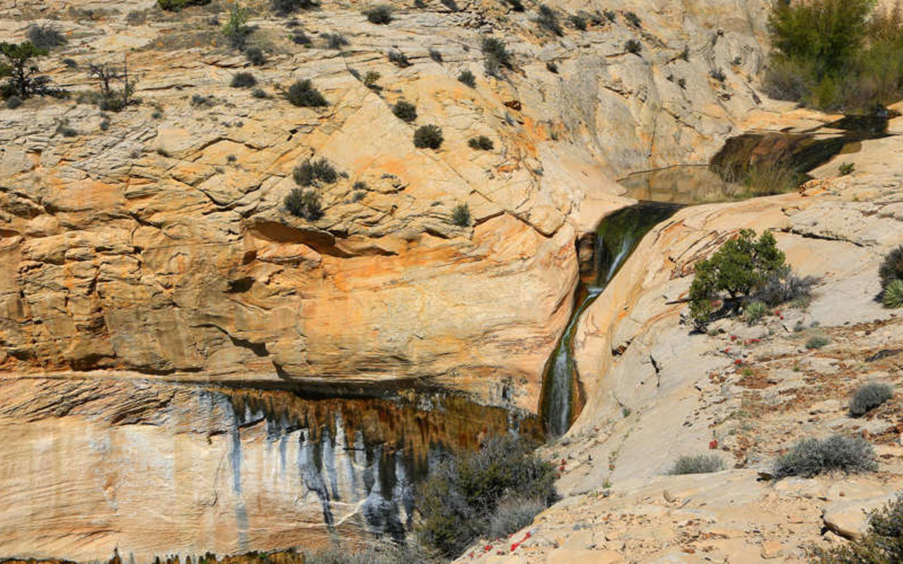 Calf Creek Falls - Upper | Photo Gallery | 0 - Calf Creek Falls