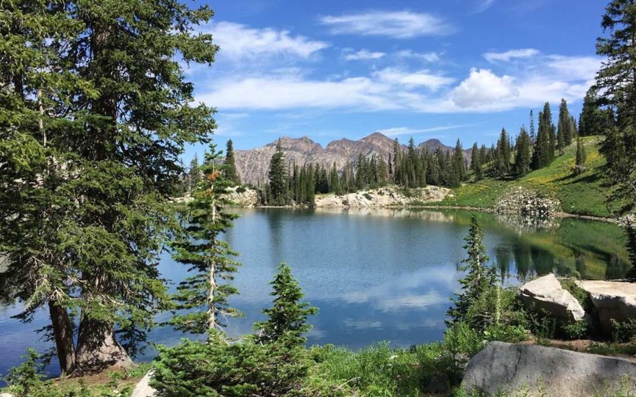 Pfeifferhorn Trail | Photo Gallery | 1 - Pfeifferhorn Trail