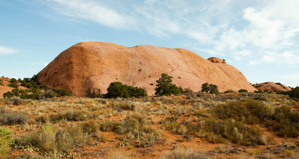 Whale Rock Trail | Photo Gallery | 0 - Whale Rock Trail