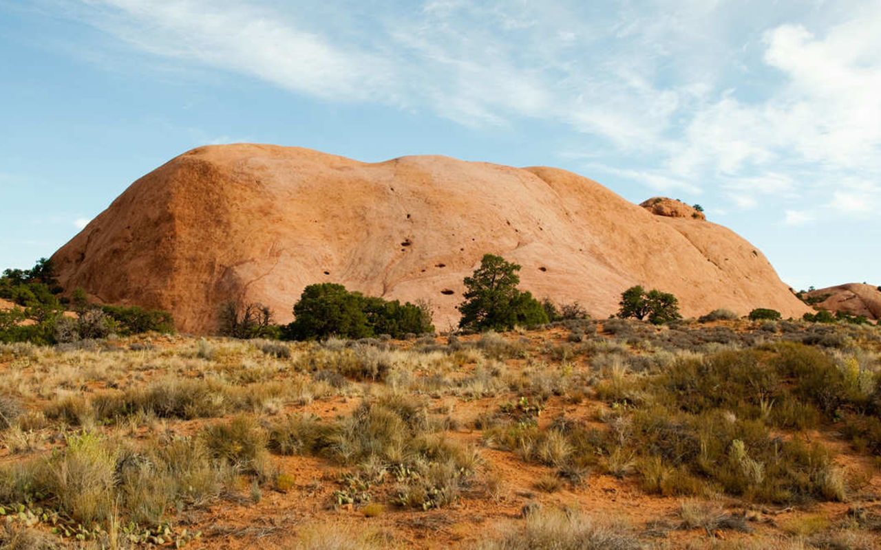 Whale Rock Trail | Photo Gallery | 0 - Whale Rock Trail