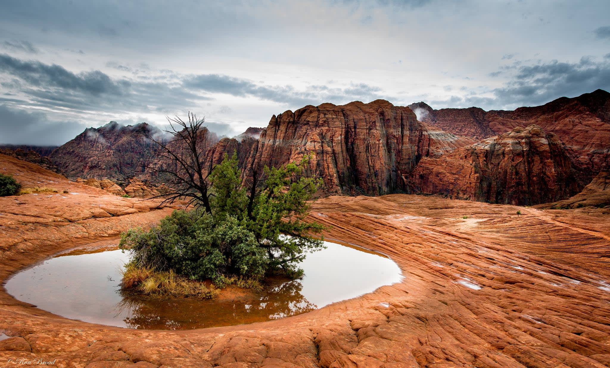 5 Reasons to Visit St. George in the Winter