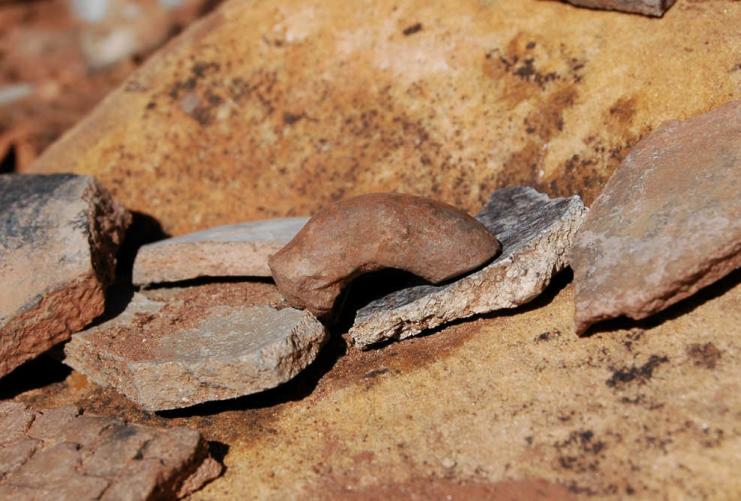 Mule Canyon | Photo Gallery | 1 - Mule Canyon