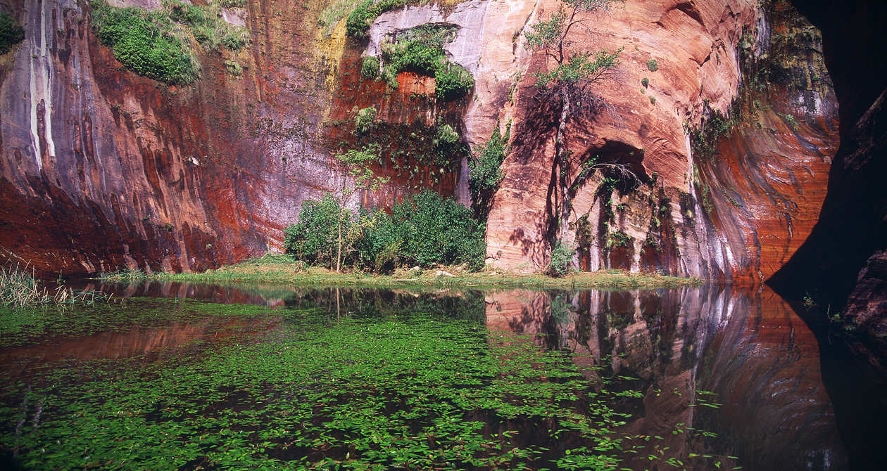Hikes | Photo Gallery | 0 - Coyote Gulch