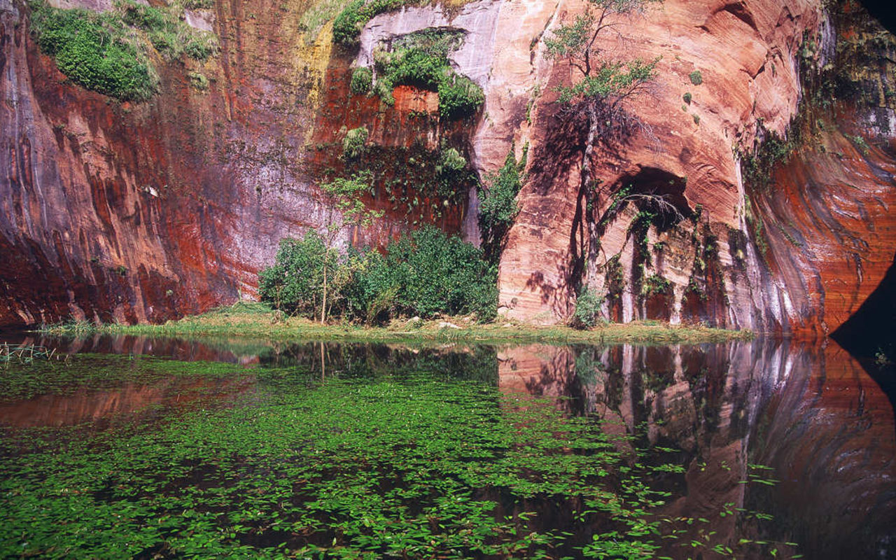 Hikes | Photo Gallery | 0 - Coyote Gulch