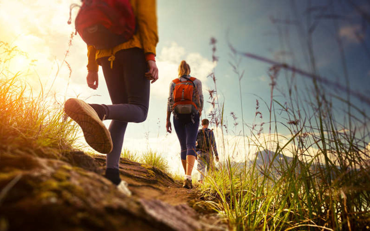 Alpine Pond Nature Trail | Photo Gallery | 0 - Alpine Pond Nature Trail Hiking