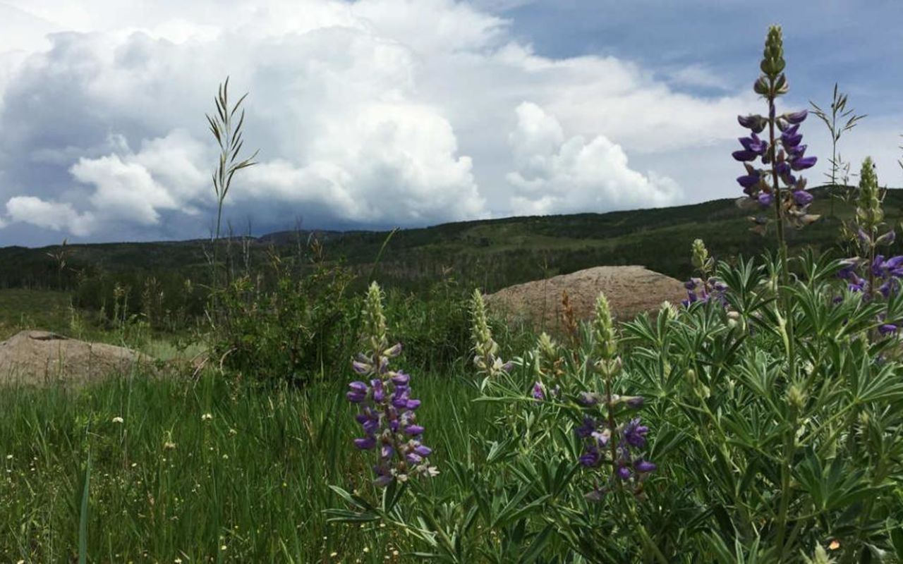 Boulder Mountain | Photo Gallery | 1 - Boulder Mountain