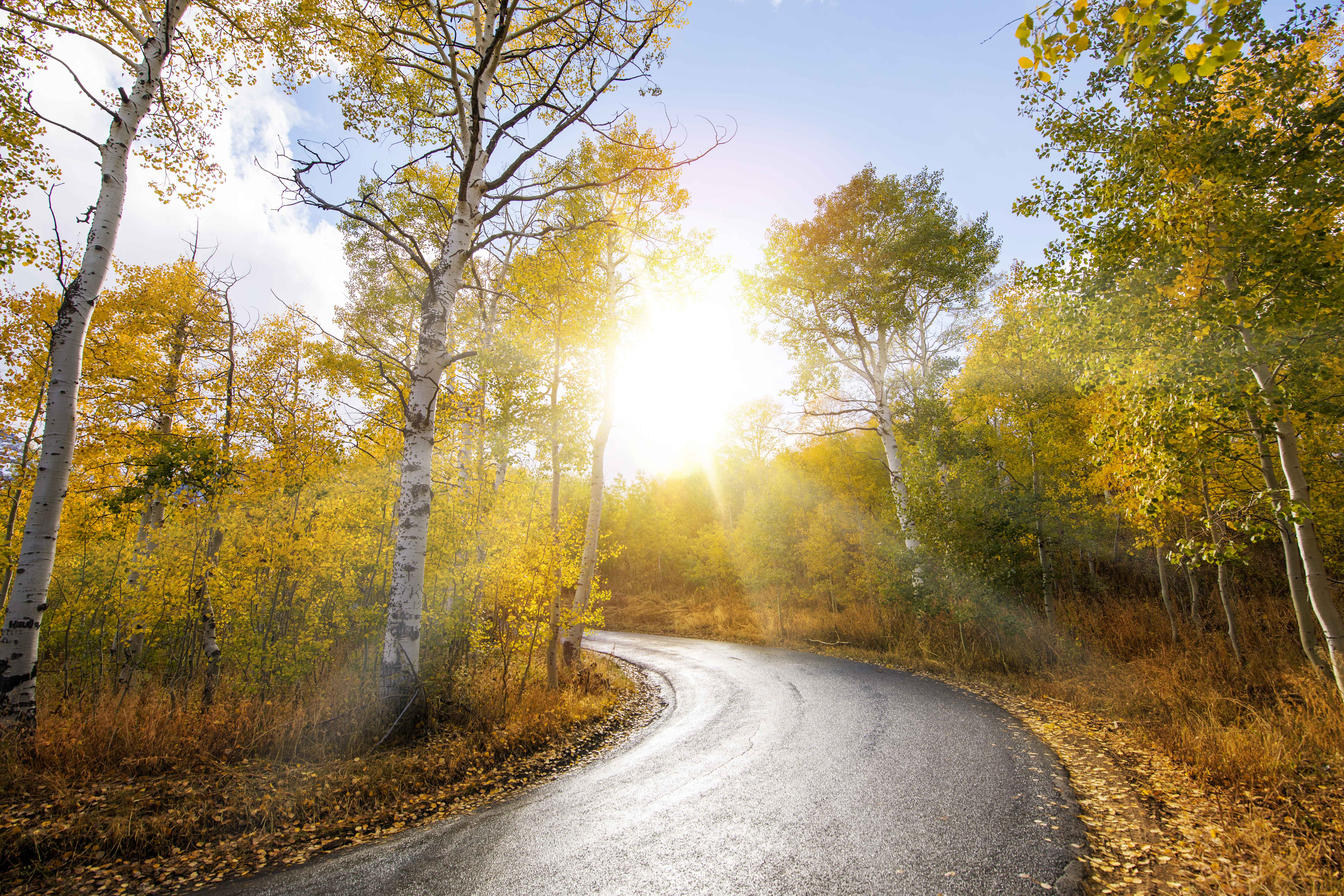 Scenic Drives | Photo Gallery | 1 - Alpine Loop