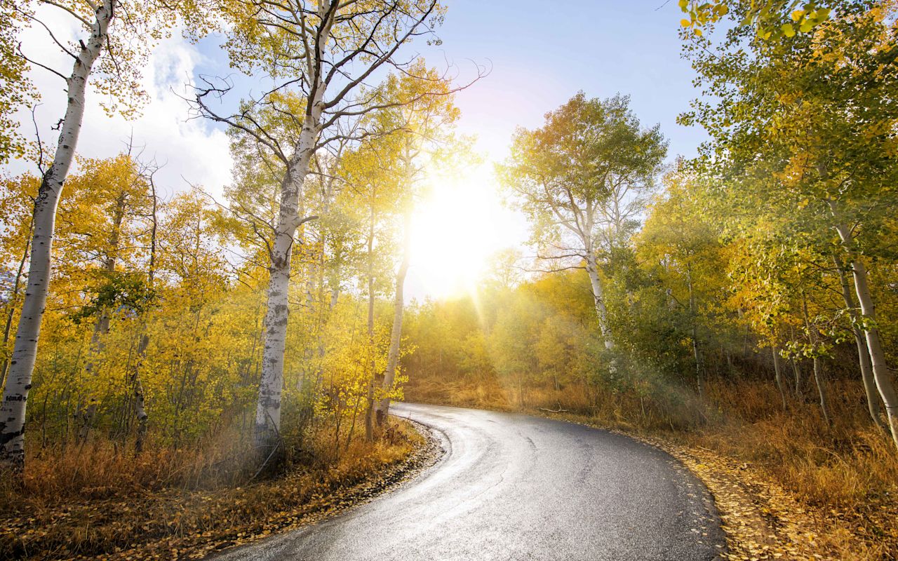 Scenic Drives | Photo Gallery | 1 - Alpine Loop