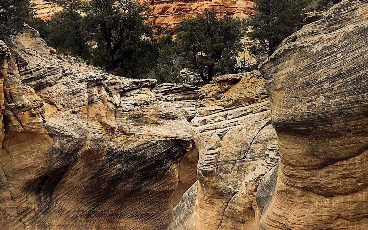 Willis Creek Slot Canyon | Photo Gallery | 1 - Willis Creek Canyon