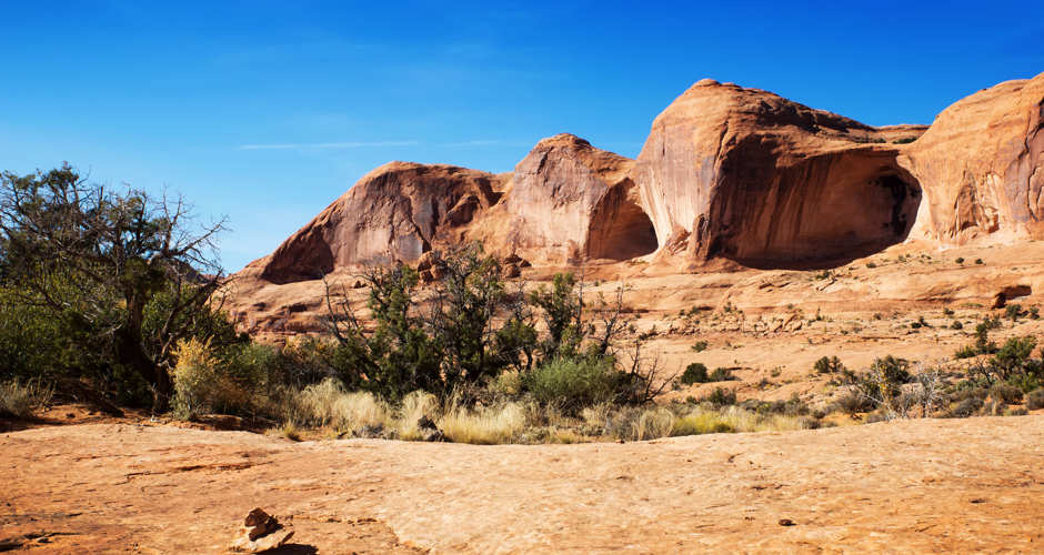 Poison Spider | Photo Gallery | 0 - Poison Spider Moab Trail