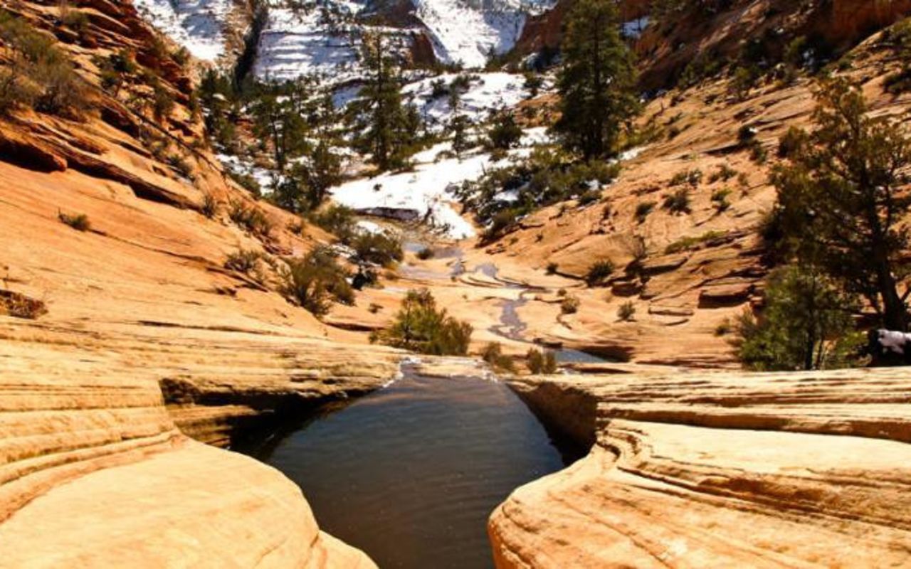 Many Pools | Photo Gallery | 0 - Many Pools