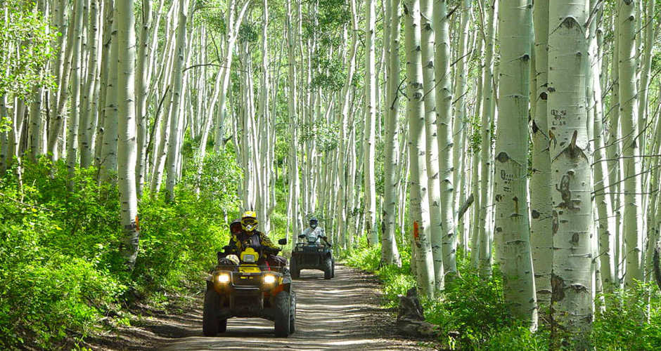 Skyline Drive | Photo Gallery | 0 - Skyline Drive