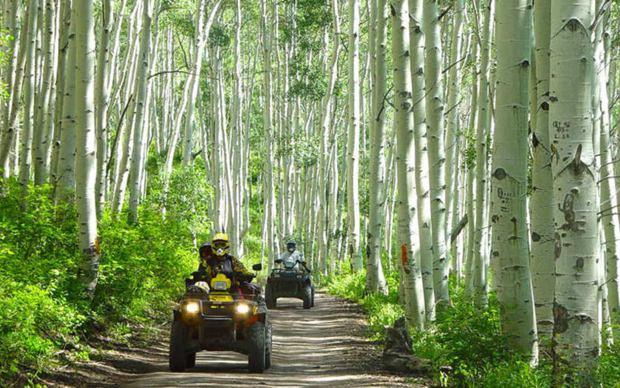 Skyline Drive | Photo Gallery | 0 - Skyline Drive