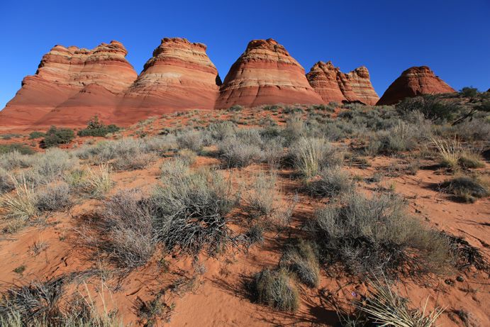 Grand Circle Tours | Photo Gallery | 2 - See the majesty of the red rock. 