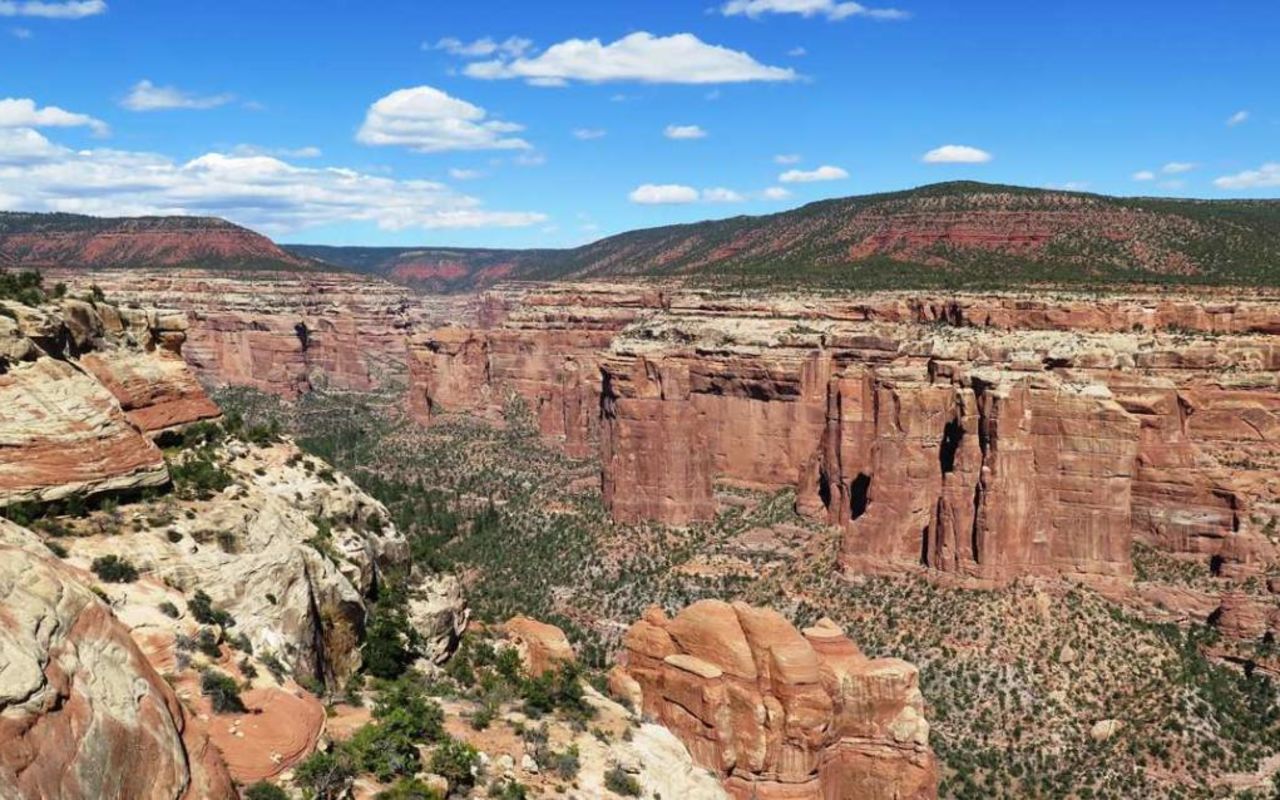 Bears Ears | Photo Gallery | 1 - Bears Ears National Monument