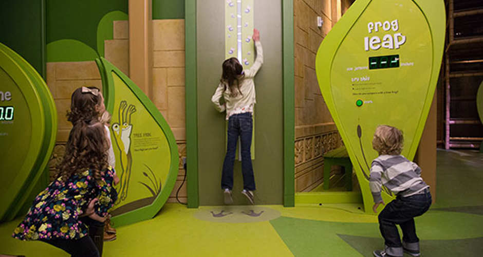 Museums | Photo Gallery | 1 - Museum of Natural Curiosities
 Satisfy your ever-present curiosity and visit the Museum of Natural Curiosities at Thanksgiving Point in Lehi. 