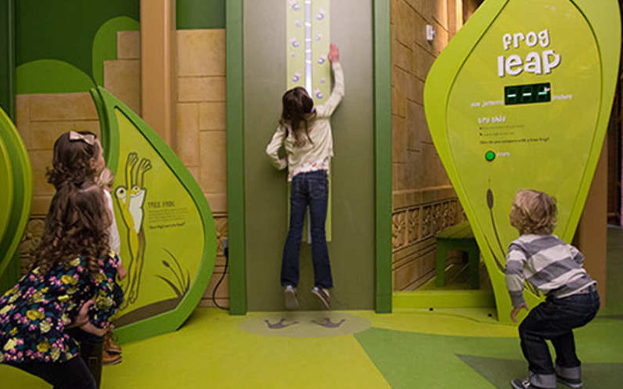 Museums | Photo Gallery | 1 - Museum of Natural Curiosities
 Satisfy your ever-present curiosity and visit the Museum of Natural Curiosities at Thanksgiving Point in Lehi.