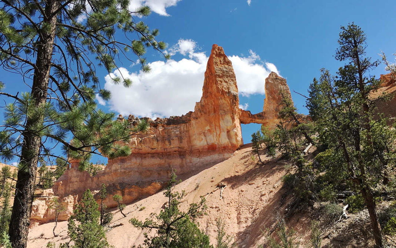 Fairyland Loop Trail | Photo Gallery | 1 - Fairyland Loop Trail