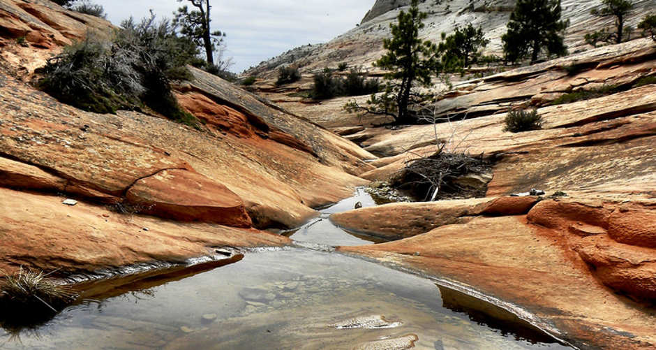 Many Pools | Photo Gallery | 1 - Many Pools