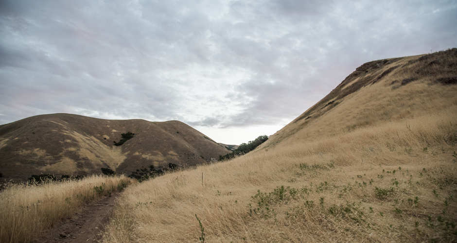 Mount Van Cott | Photo Gallery | 1 - Mount Van Cott