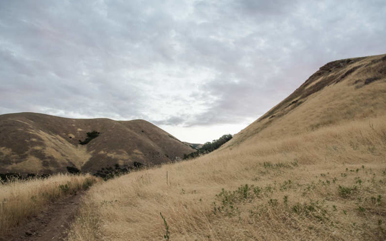 Mount Van Cott | Photo Gallery | 1 - Mount Van Cott