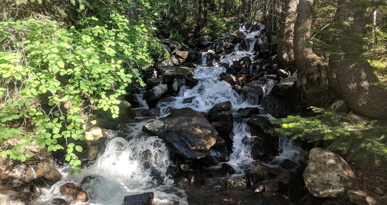 Broad Forks Trail | Photo Gallery | 1 - Broad Forks Trail