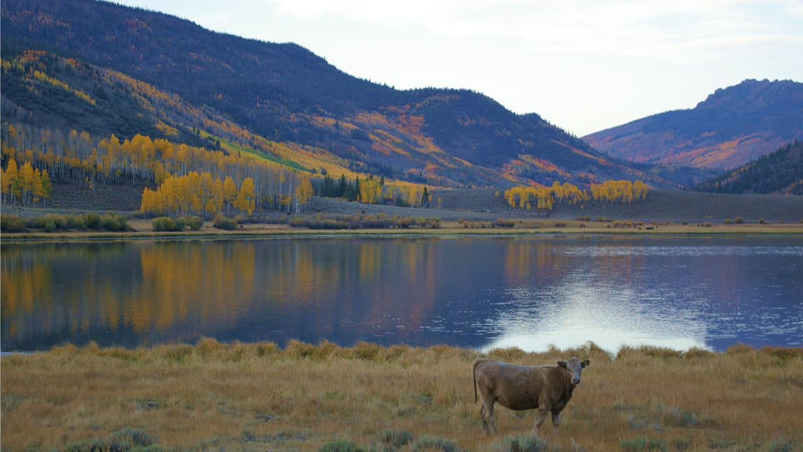 Header Fish Lake - Colorful fall foliage surrounds Fish Lake