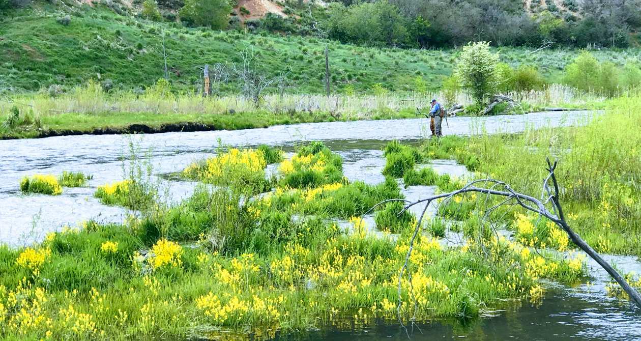 Provo Fishing | Photo Gallery | 0 - Provo Fishing