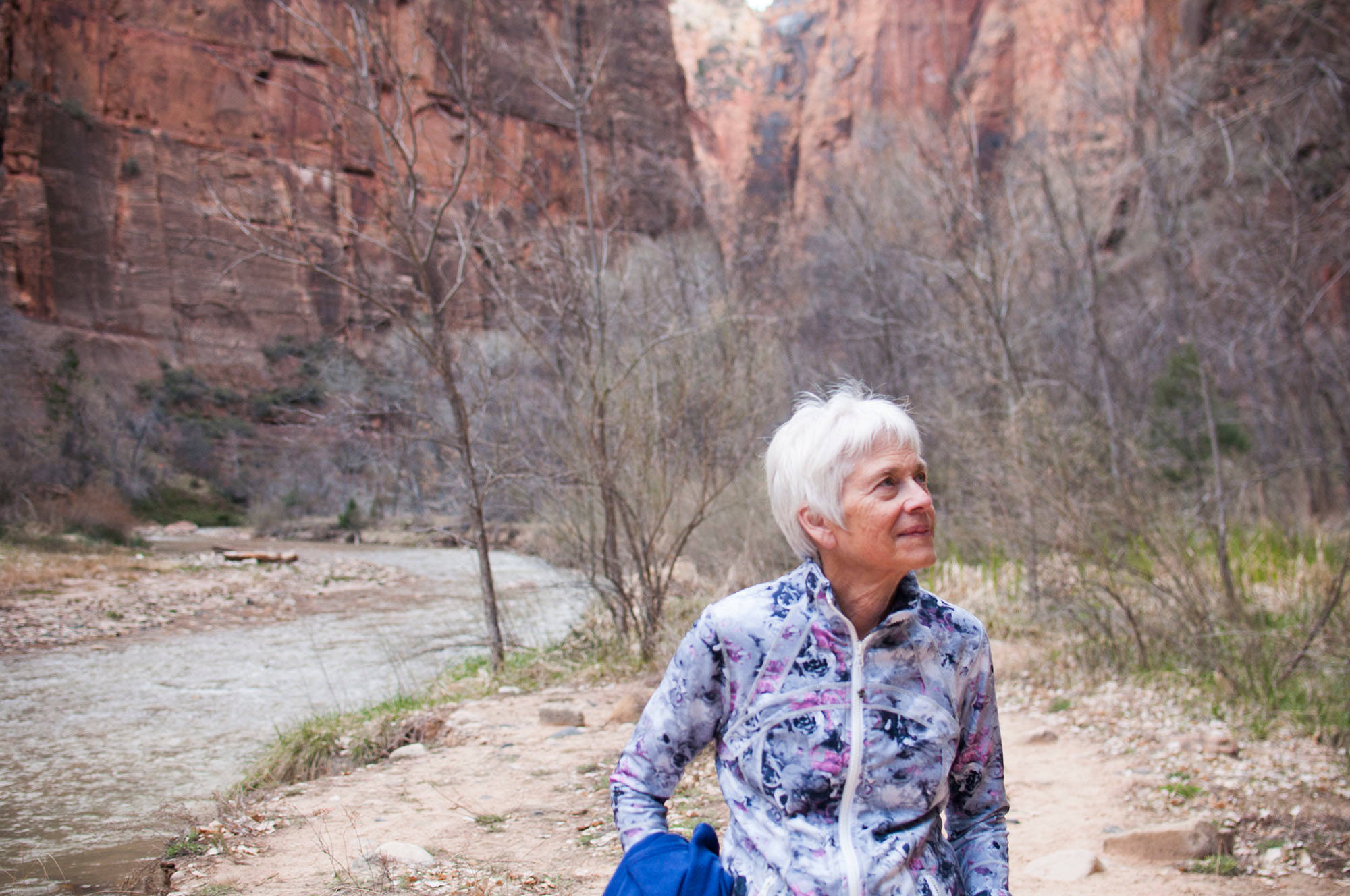 Zion National Park Itinerary for All Ages