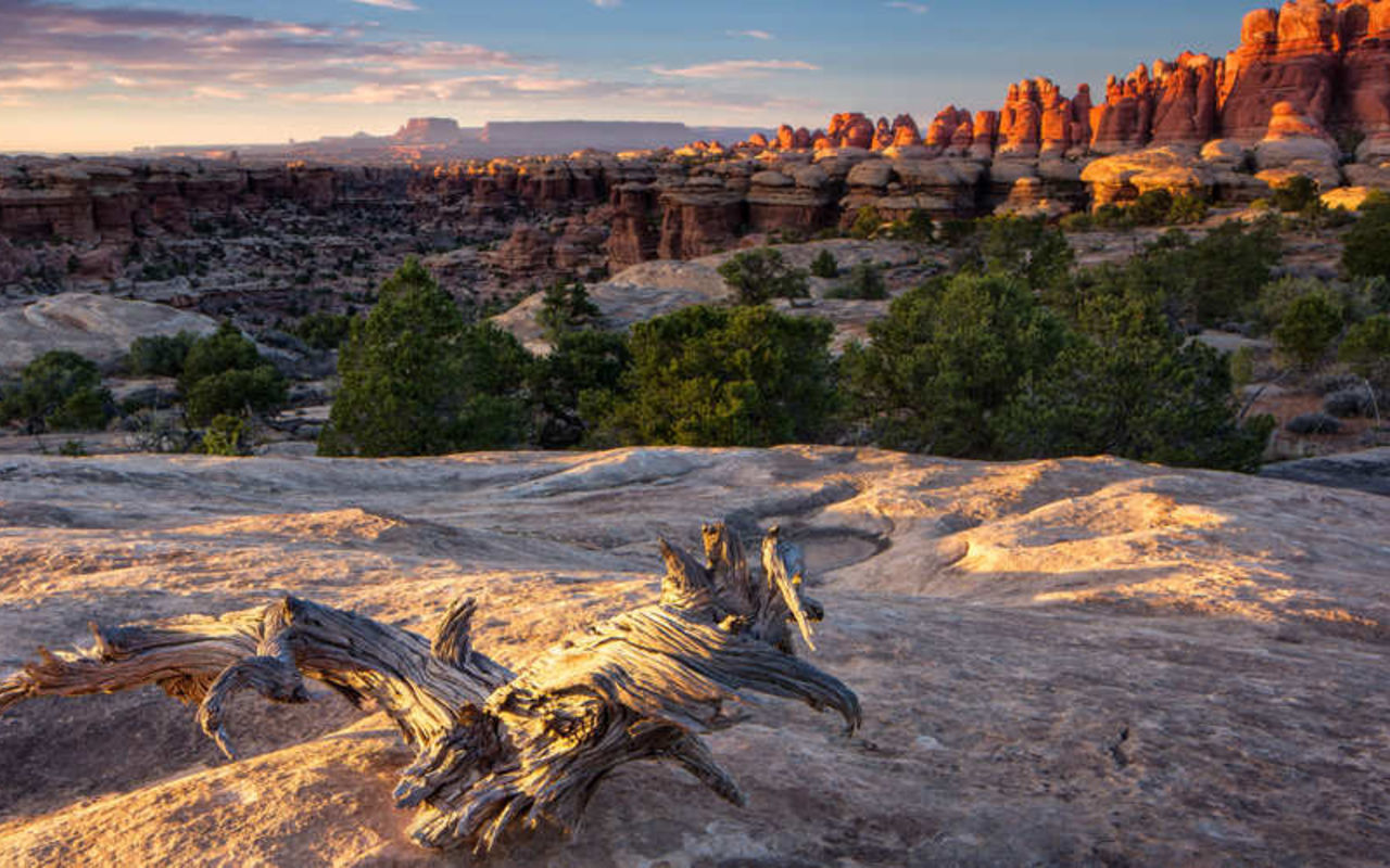 Roadside Ruin Trail | Photo Gallery | 1 - The Needles District The Needles District near Canyonlands National Park.