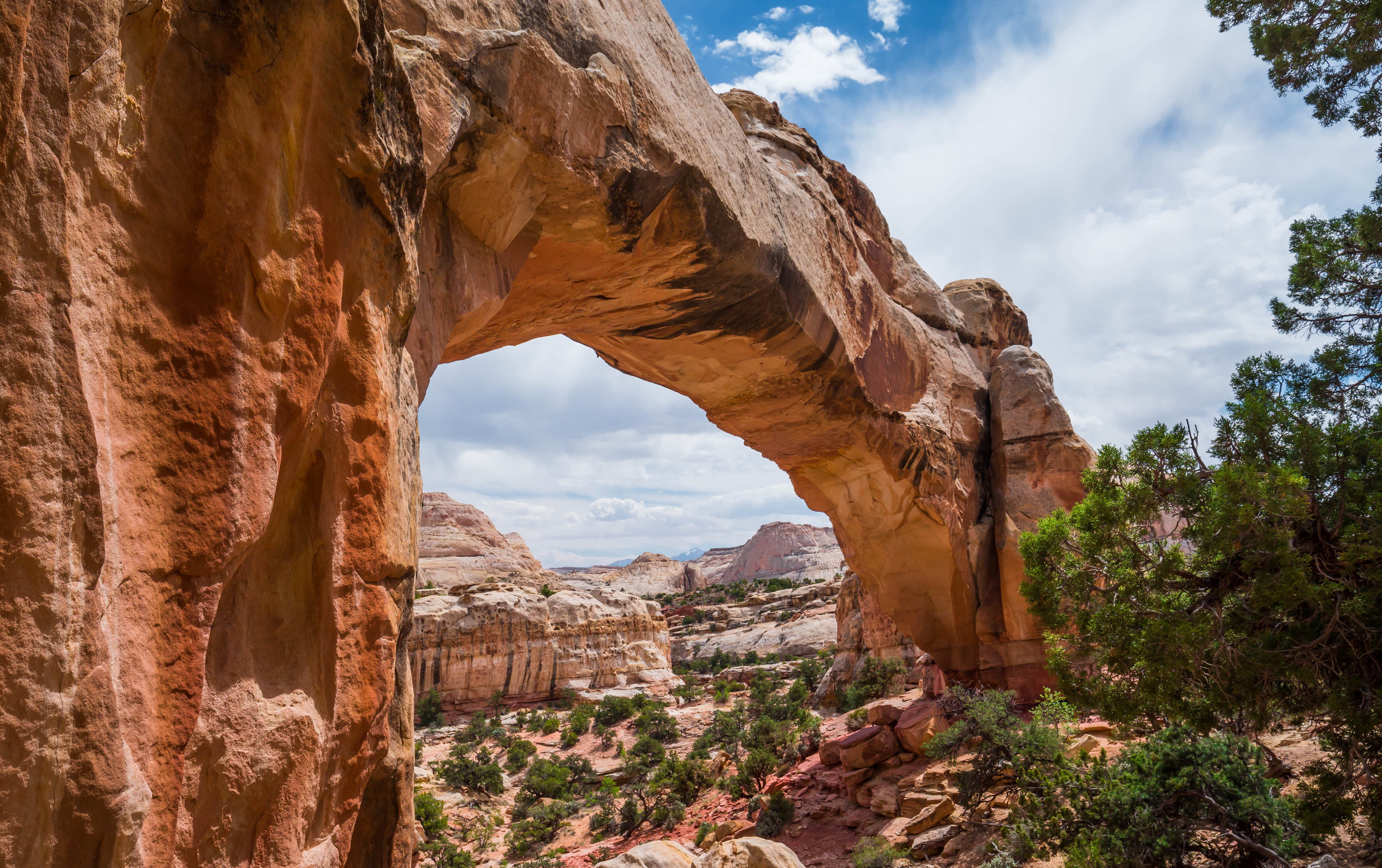 7 Crazy-Awesome Natural Arches & Bridges in Utah