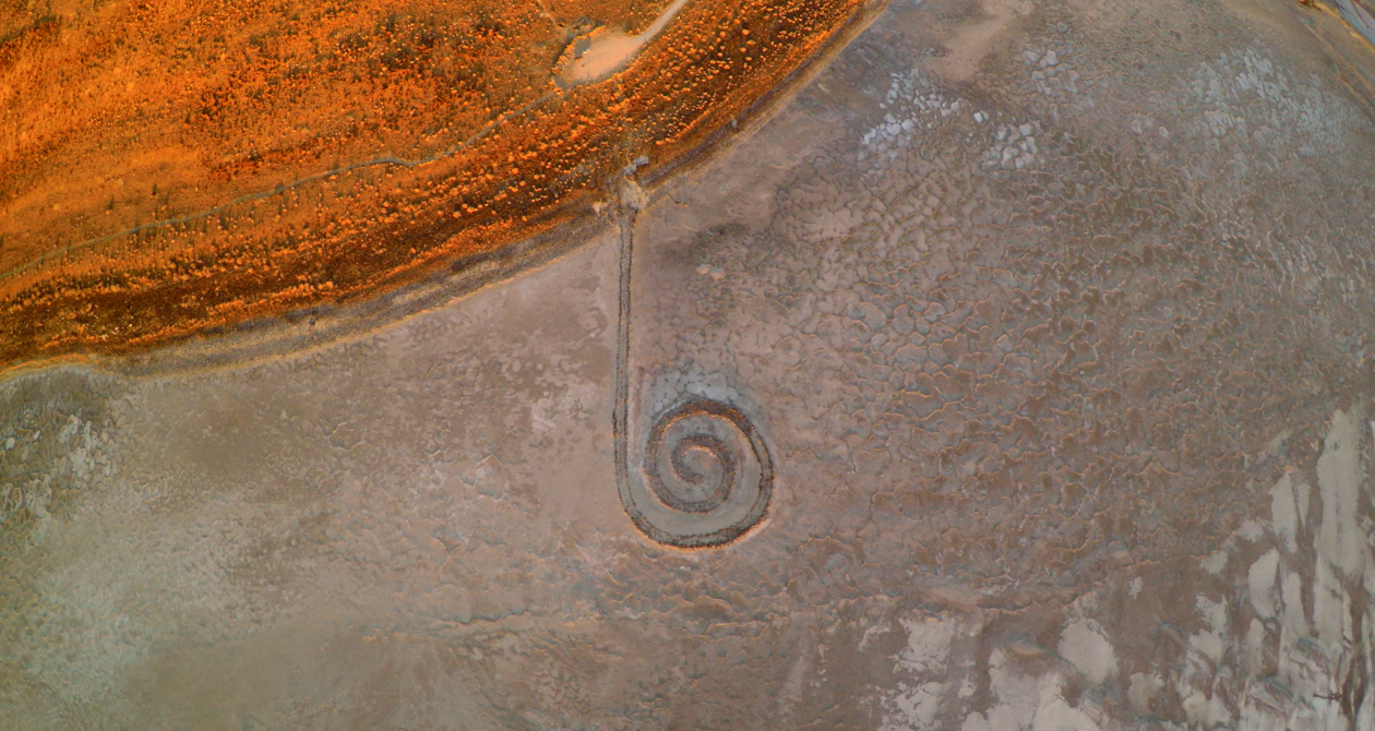 Box Elder | Photo Gallery | 1 - Box Elder