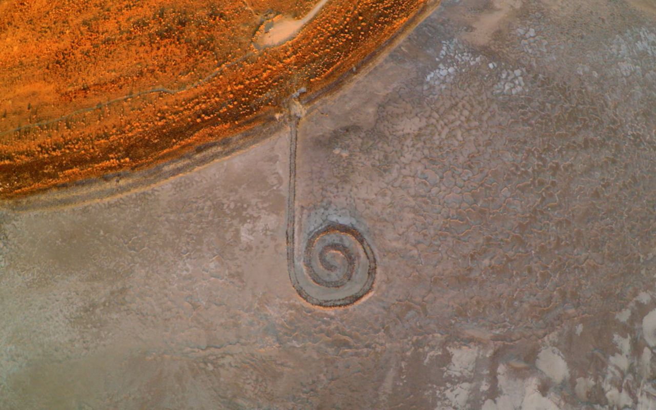 Box Elder | Photo Gallery | 1 - Box Elder