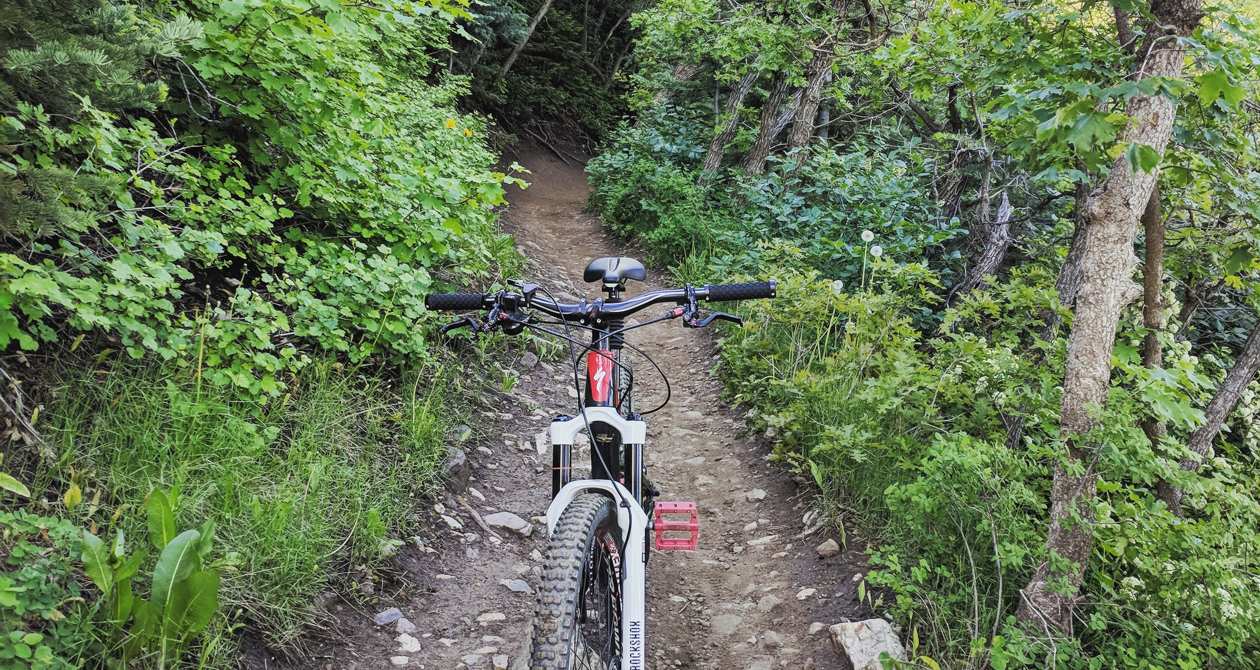 Mueller Park | Photo Gallery | 0 - Mueller Park