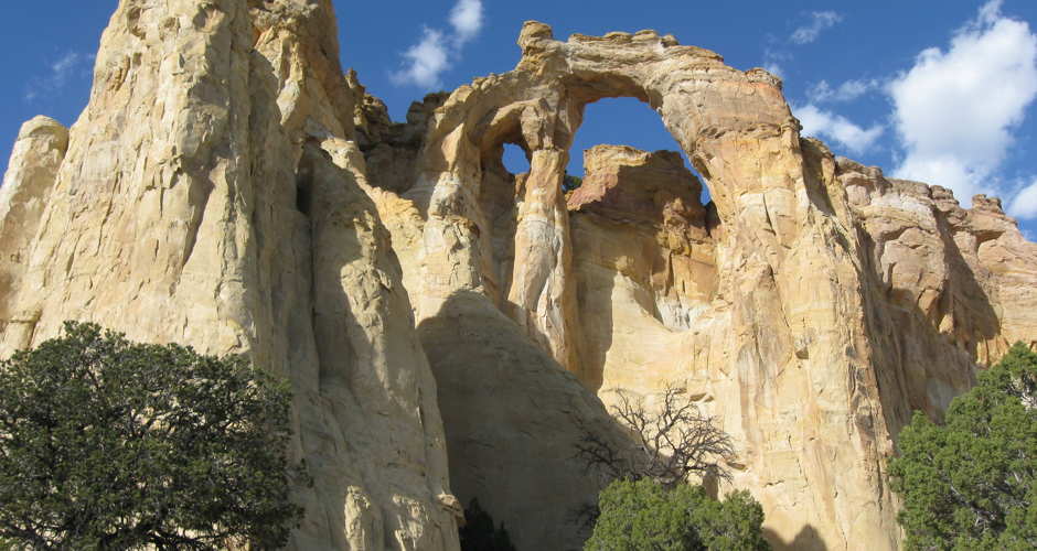 Grosvenor Arch | Photo Gallery | 0 - Grosvenor Arch