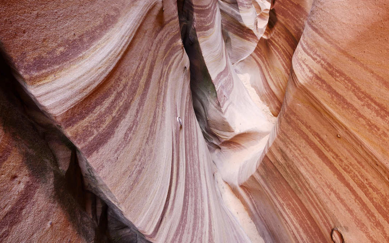 Escalante Canyon | Photo Gallery | 0 - Escalante Canyon