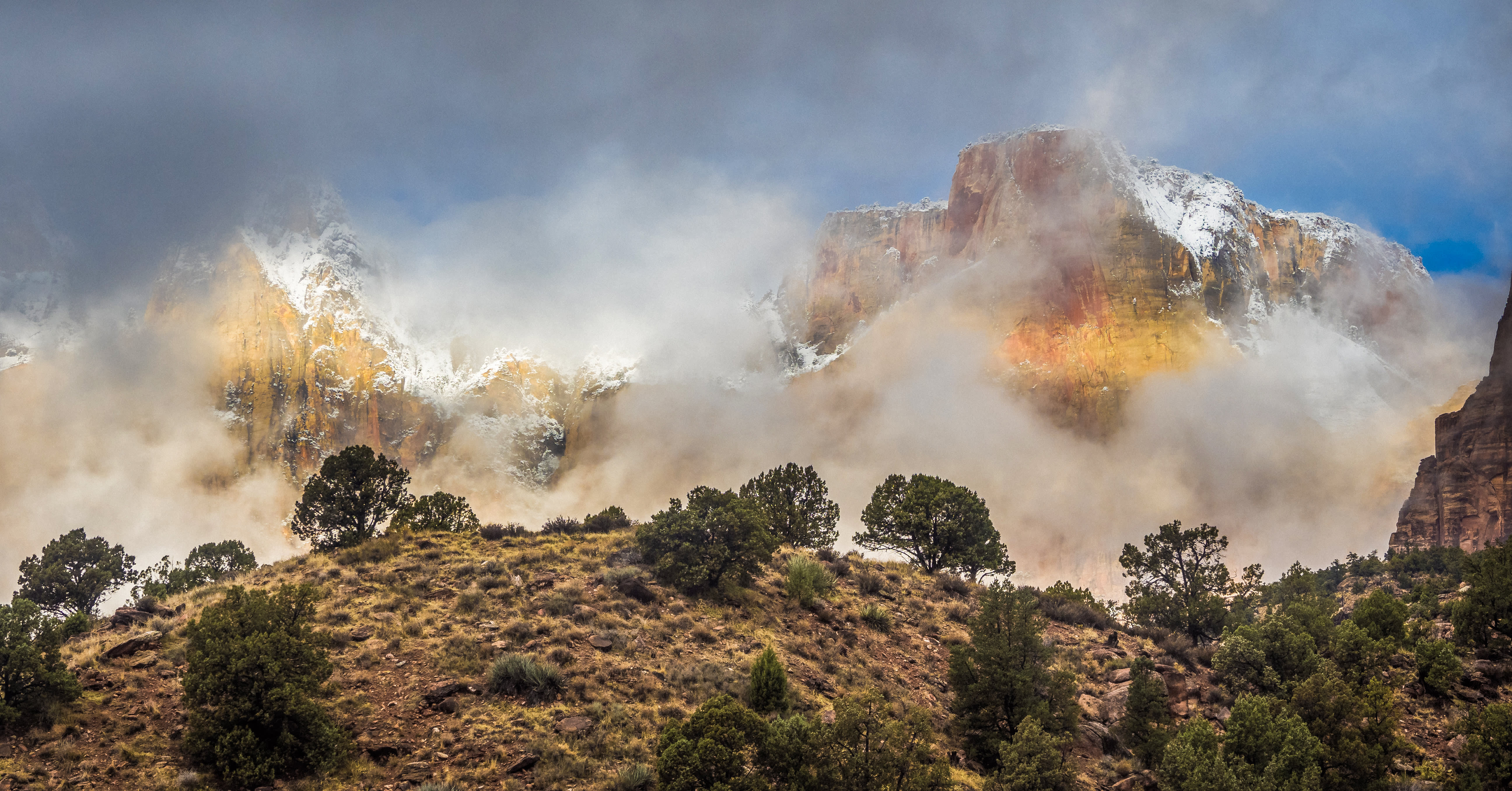 Winter and Zion Ponderosa