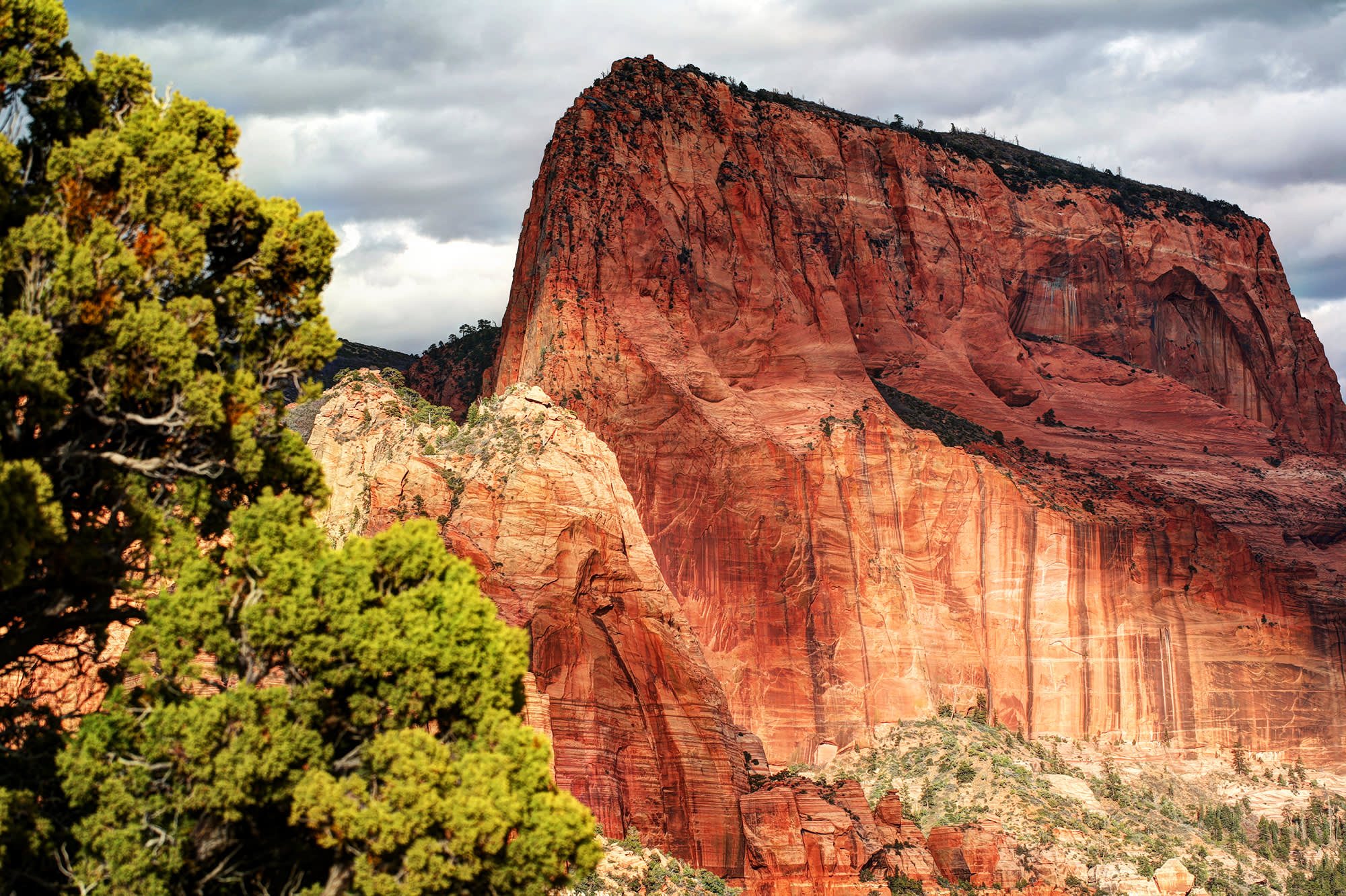 Top 10+ Things to Do In Springdale, Utah