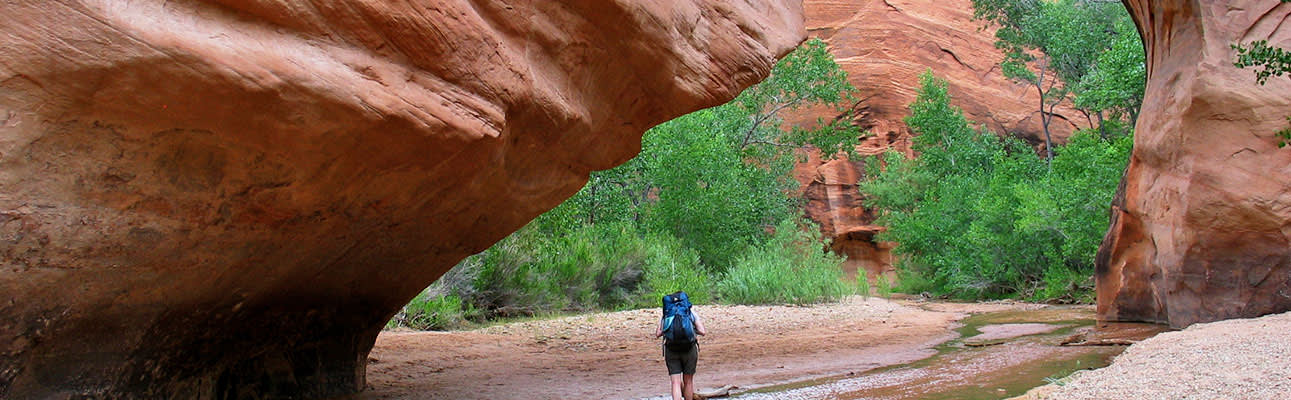 Adventure is on the menu: 4 great southern Utah hiking trips for foodies
