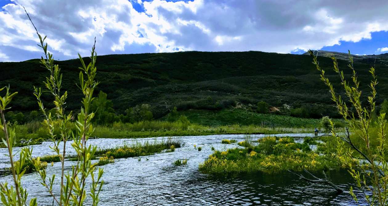 Provo Fishing | Photo Gallery | 1 - Provo Fishing