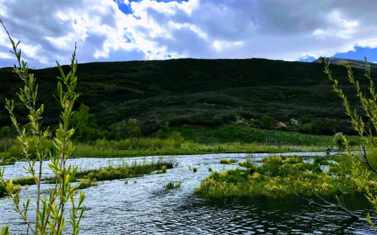 Provo Fishing | Photo Gallery | 1 - Provo Fishing